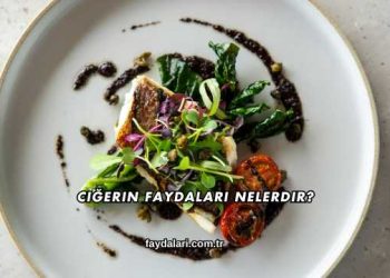 Ciğerin Faydaları Nelerdir?