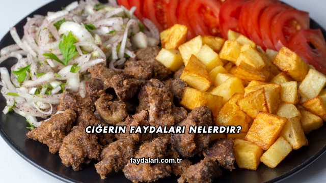 Ciğerin Faydaları Nelerdir?