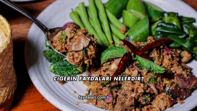 Ciğerin Faydaları Nelerdir?