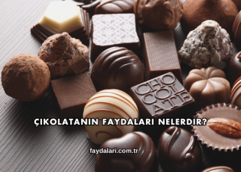 Çikolatanın Faydaları Nelerdir?