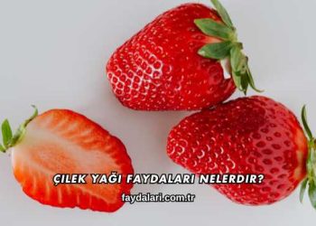 Çilek Yağı Faydaları Nelerdir?