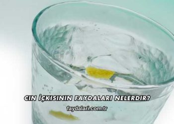 Cin İçkisinin Faydaları Nelerdir?