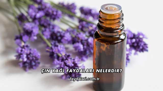 Çin Yağı Faydaları Nelerdir?