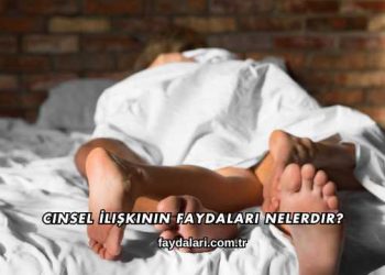 Cinsel İlişkinin Faydaları Nelerdir?