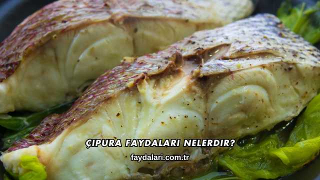 Çipura Faydaları Nelerdir?