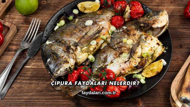 Çipura Faydaları Nelerdir?