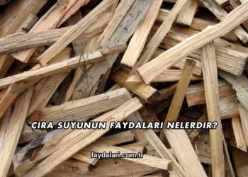 Çıra Suyunun Faydaları Nelerdir?