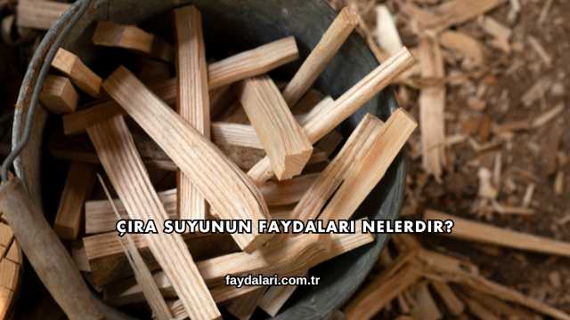 Çıra Suyunun Faydaları Nelerdir?