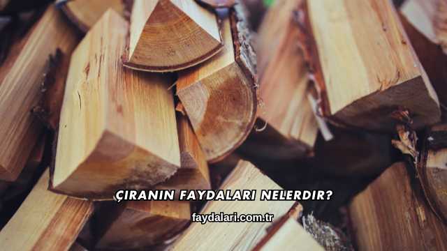 Çıranın Faydaları Nelerdir?