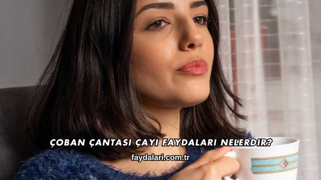 Çoban Çantası Çayı Faydaları Nelerdir?