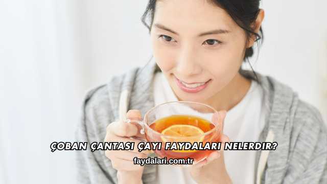 Çoban Çantası Çayı Faydaları Nelerdir?