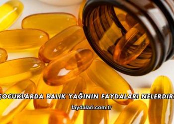 Çocuklarda Balık Yağının Faydaları Nelerdir?