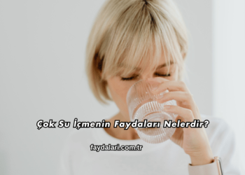 Çok Su İçmenin Faydaları Nelerdir?