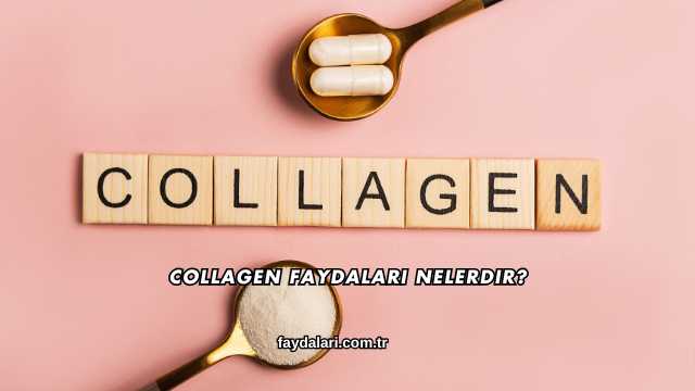 Collagen Faydaları Nelerdir?