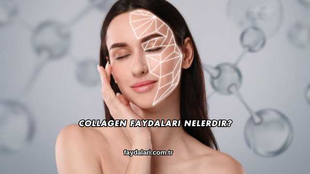 Collagen Faydaları Nelerdir?