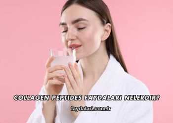 Collagen Peptides Faydaları Nelerdir?