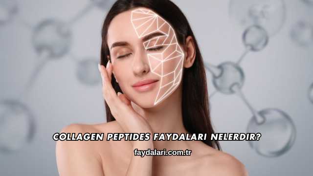 Collagen Peptides Faydaları Nelerdir?