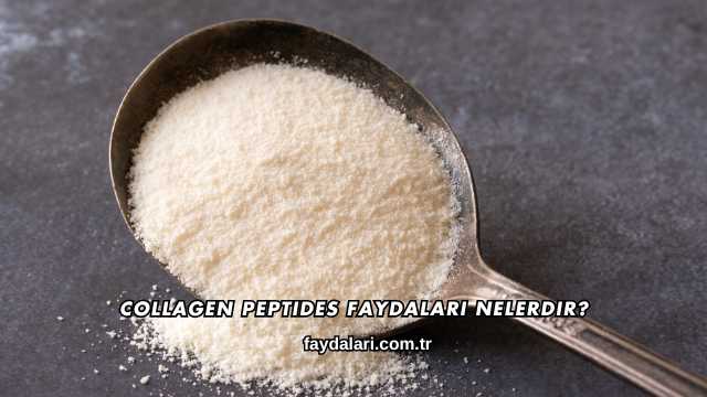 Collagen Peptides Faydaları Nelerdir?