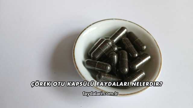 Çörek Otu Kapsülü Faydaları Nelerdir?