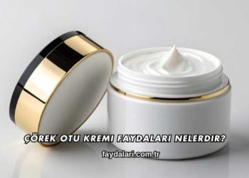 Çörek Otu Kremi Faydaları Nelerdir?
