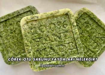 Çörek Otu Sabunu Faydaları Nelerdir?