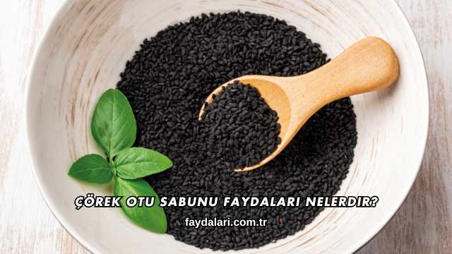 Çörek Otu Sabunu Faydaları Nelerdir?