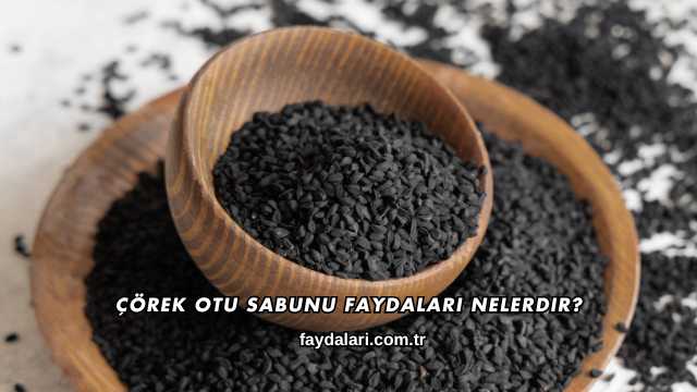 Çörek Otu Sabunu Faydaları Nelerdir?