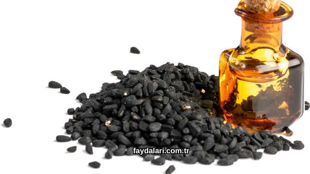 Çörek Otu Sarımsak Zeytinyağı Karışımı Faydaları Nelerdir?