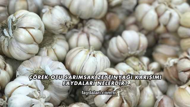 Çörek Otu Sarımsak Zeytinyağı Karışımı Faydaları Nelerdir?