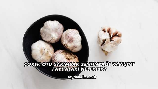 Çörek Otu Sarımsak Zeytinyağı Karışımı Faydaları Nelerdir?