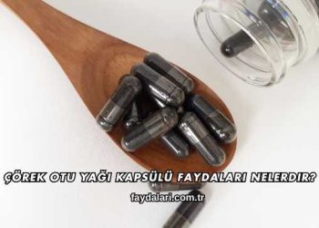Çörek Otu Yağı Kapsülü Faydaları Nelerdir?