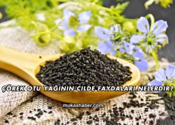 Çörek Otu Yağının Cilde Faydaları Nelerdir?