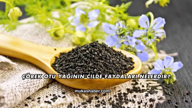 Çörek Otu Yağının Cilde Faydaları Nelerdir?