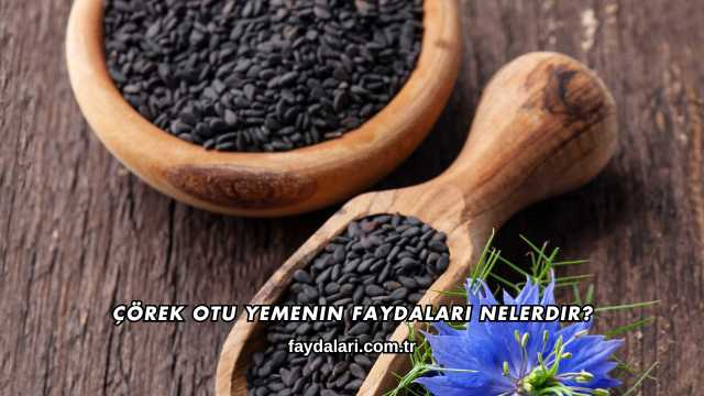 Çörek Otu Yemenin Faydaları Nelerdir?