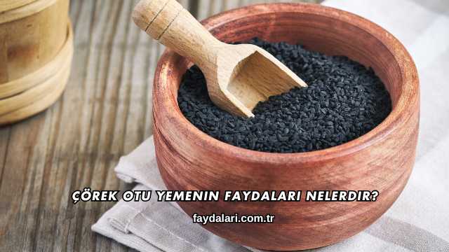 Çörek Otu Yemenin Faydaları Nelerdir?