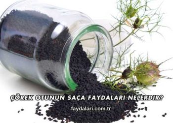 Çörek Otunun Saça Faydaları Nelerdir?