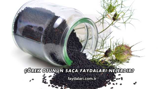 Çörek Otunun Saça Faydaları Nelerdir?