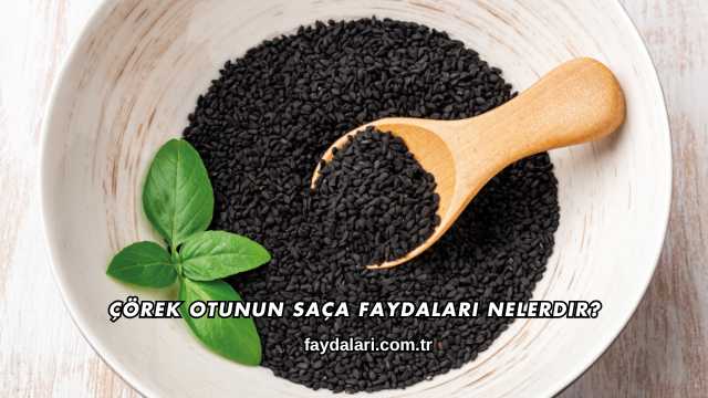 Çörek Otunun Saça Faydaları Nelerdir?