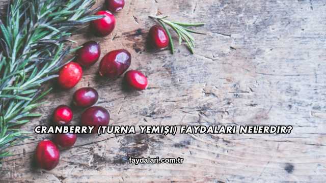 Cranberry (Turna Yemişi) Faydaları Nelerdir?
