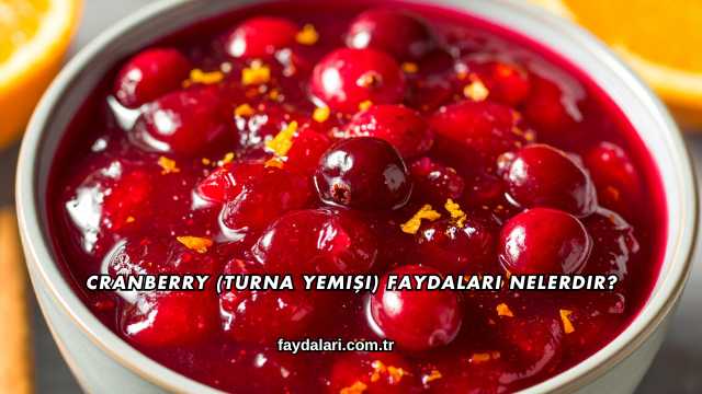 Cranberry (Turna Yemişi) Faydaları Nelerdir?