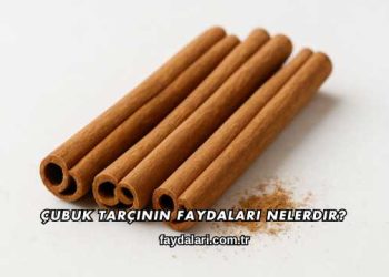 Çubuk Tarçının Faydaları Nelerdir?