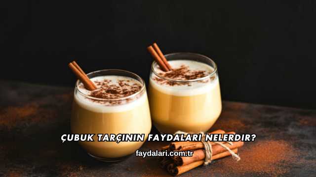 Çubuk Tarçının Faydaları Nelerdir?