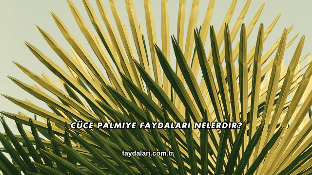 Cüce Palmiye Faydaları Nelerdir?