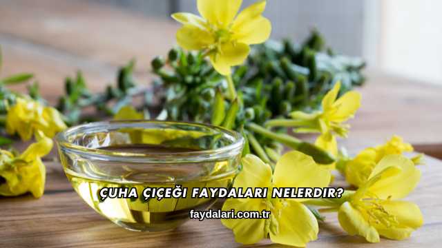Çuha Çiçeği Faydaları Nelerdir?