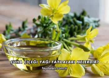 Çuha Çiçeği Yağı Faydaları Nelerdir?