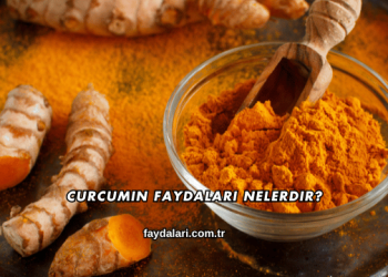 Curcumin Faydaları Nelerdir?