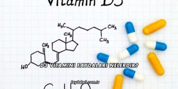 D3 Vitamini Faydaları Nelerdir?