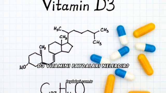 D3 Vitamini Faydaları Nelerdir?