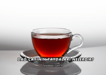 Dağ Çayının Faydaları Nelerdir?