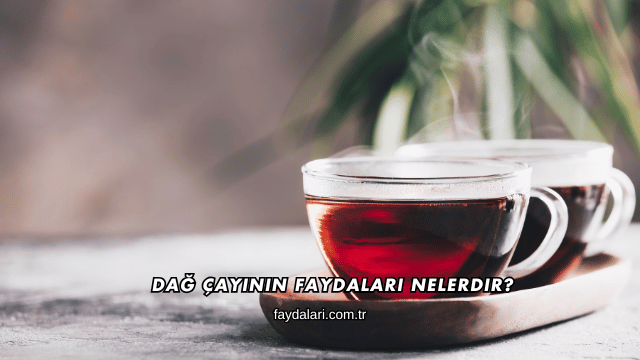 Dağ Çayının Faydaları Nelerdir?